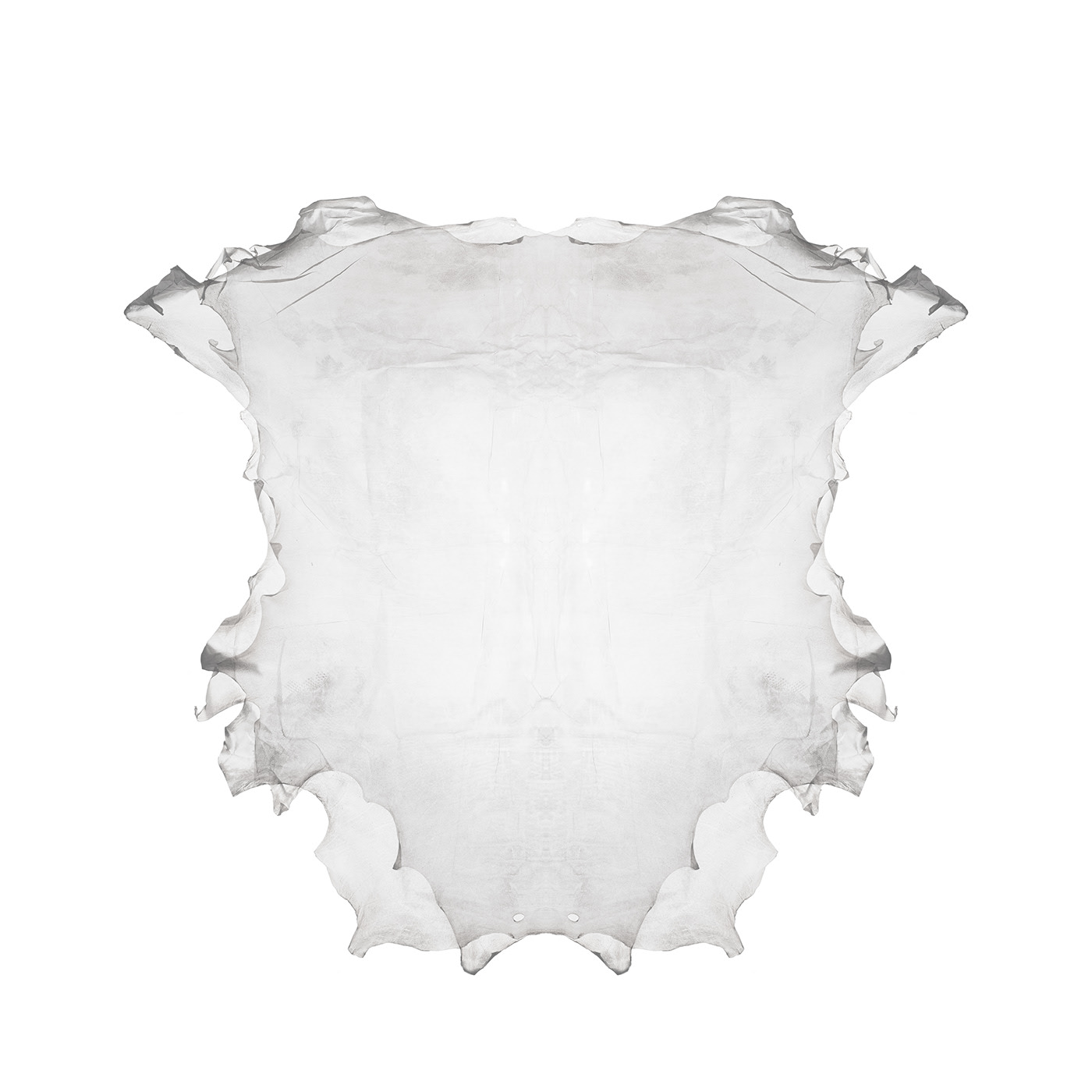 Translucent leather，Material Science，Clothes & Accessories，