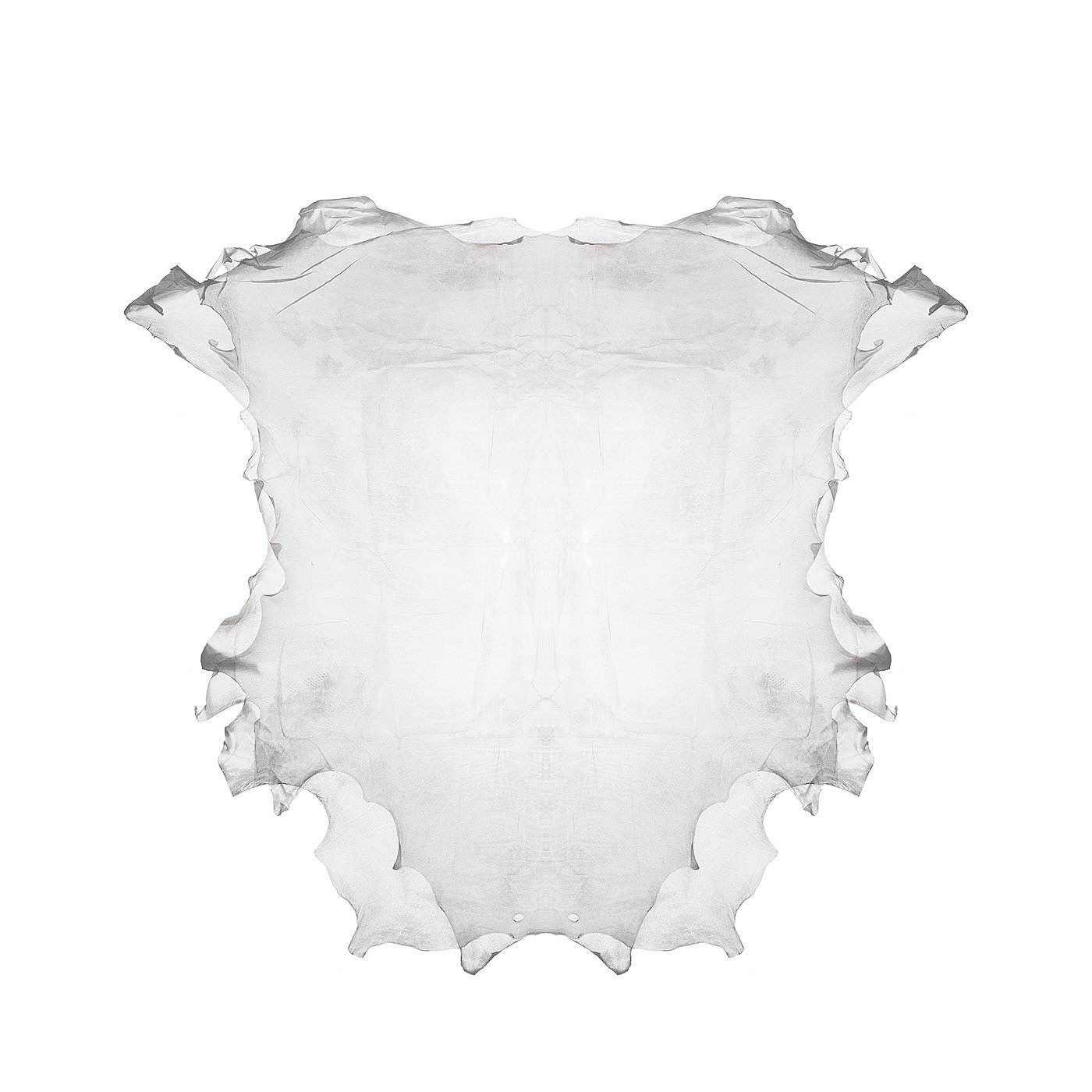 Translucent leather，Material Science，Clothes & Accessories，
