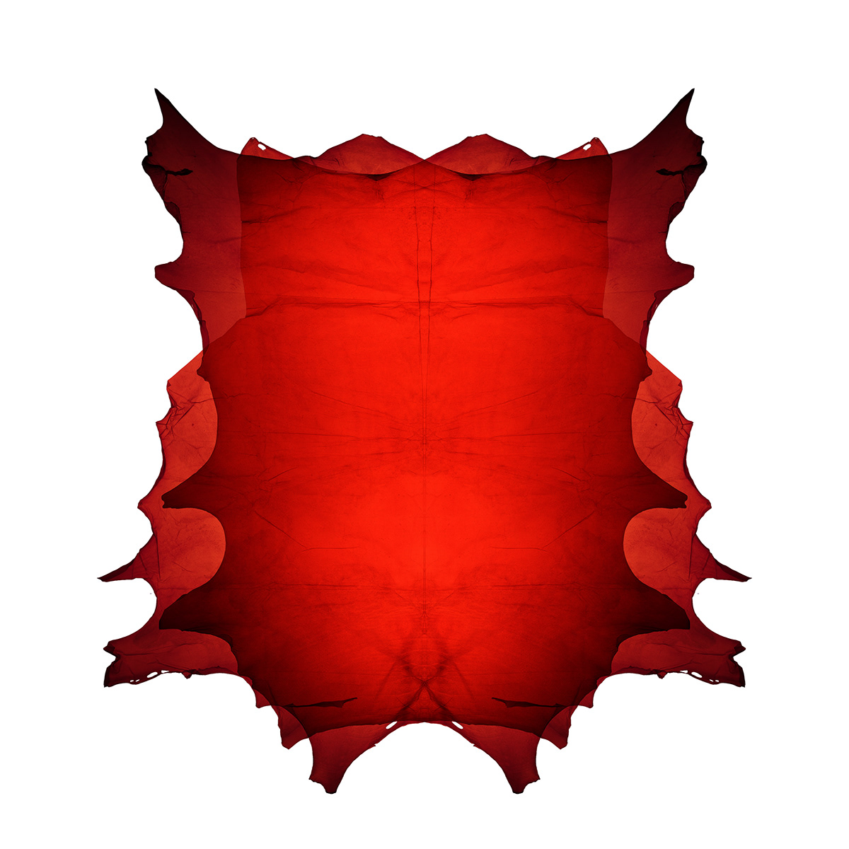 Translucent leather，Material Science，Clothes & Accessories，