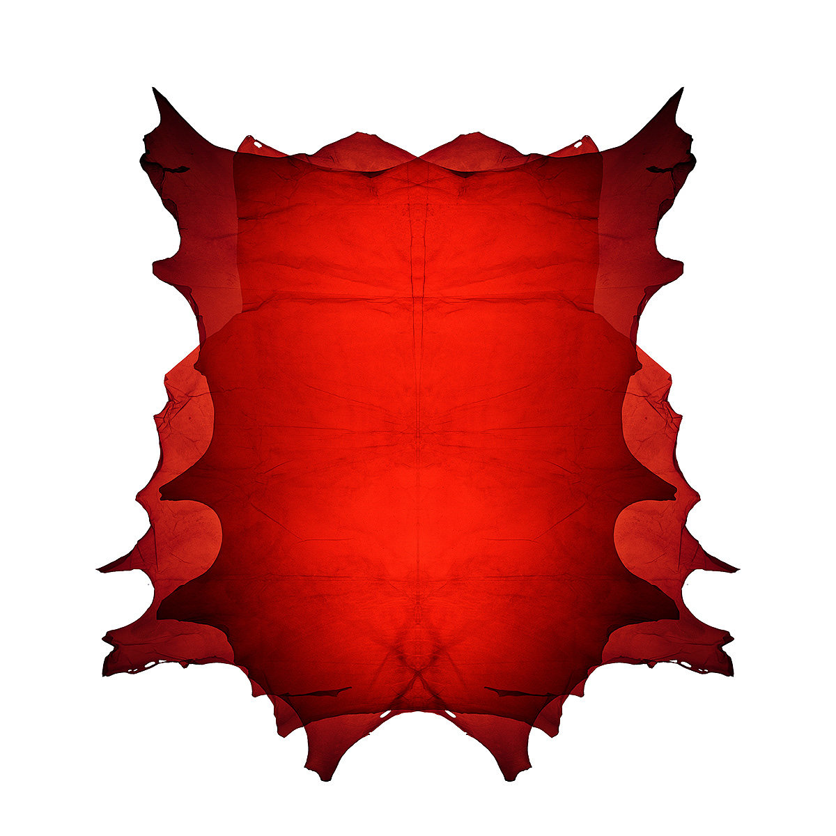 Translucent leather，Material Science，Clothes & Accessories，