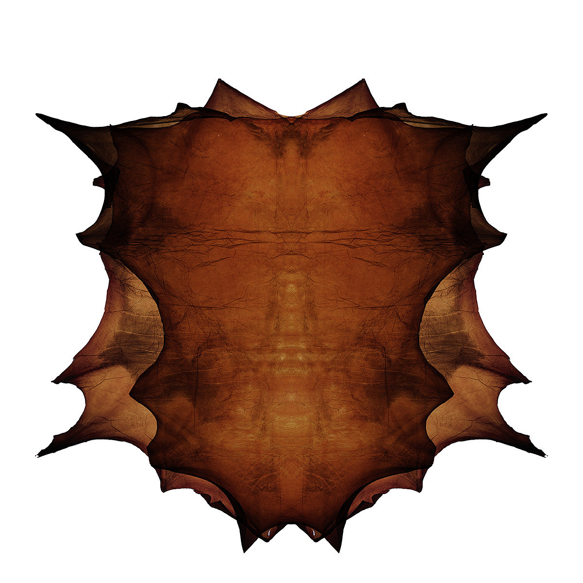 Translucent leather，Material Science，Clothes & Accessories，