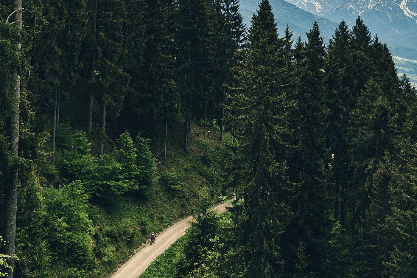 Sports brand，Lafite ，modeling，rhinoceros，Bicycle，RÄSER，