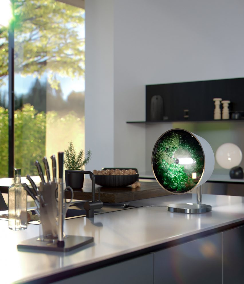 intelligence，interactive，indoor，Planter，Hydroponics flower ，