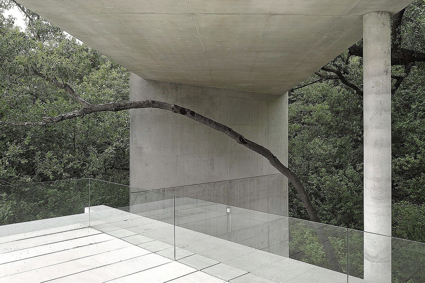 concrete，Simple style，Japan，Architectural design，residence，