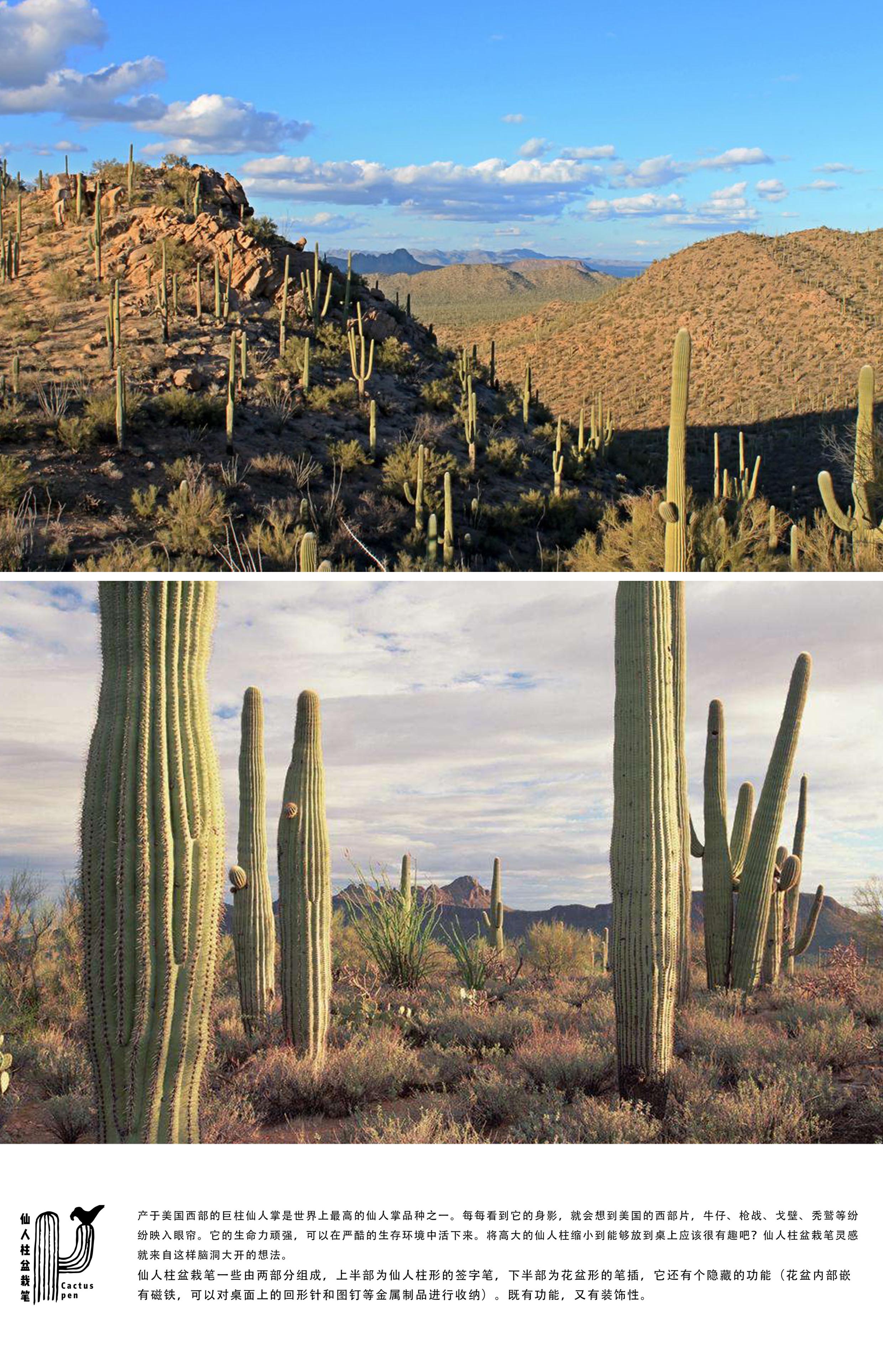 Immortal column，pen，Stationery design，interest，Interest oriented，desktop，original，