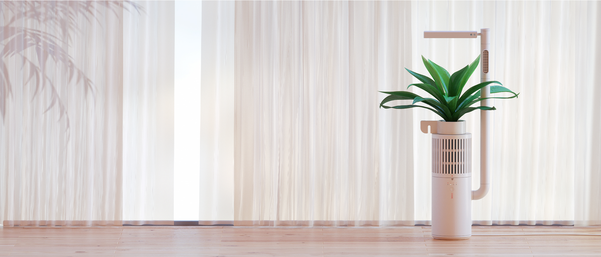 Popular money，Internet celebrity，Simplicity，like a breath of fresh air，