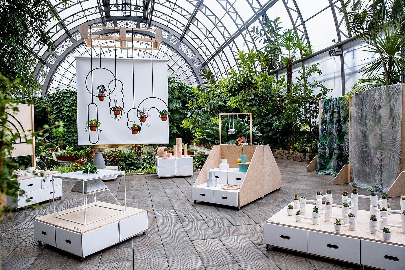 flowers and plants，Potted plants，plant，Green plant，