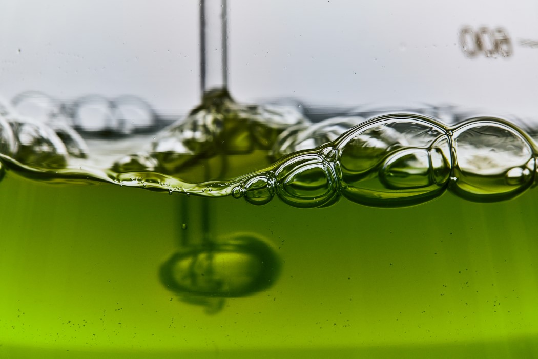 clothing，Biodegradable，T-shirt，