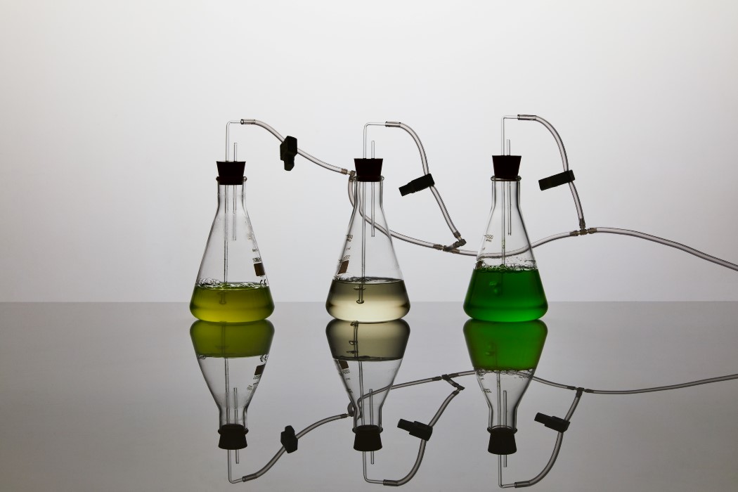 clothing，Biodegradable，T-shirt，