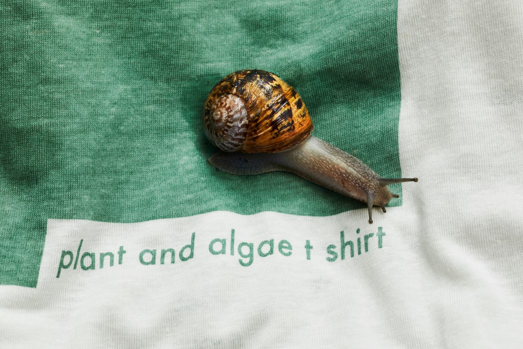 clothing，Biodegradable，T-shirt，