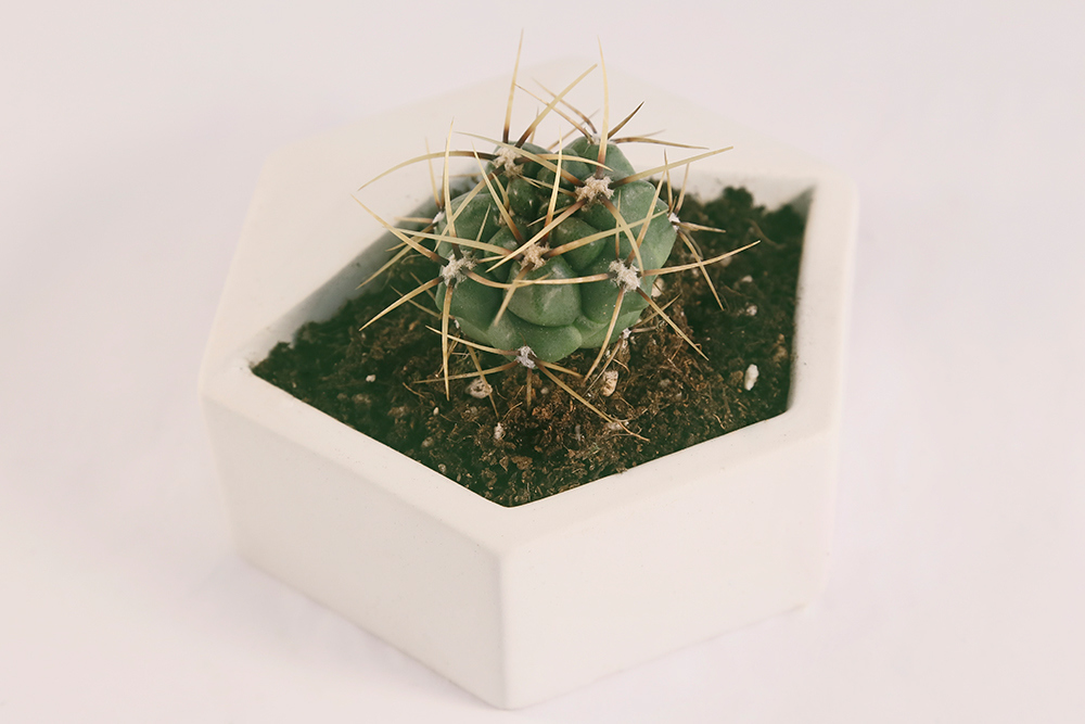 Home Furnishing，Ornaments，Candlestick，Flowerpot，Simplicity，