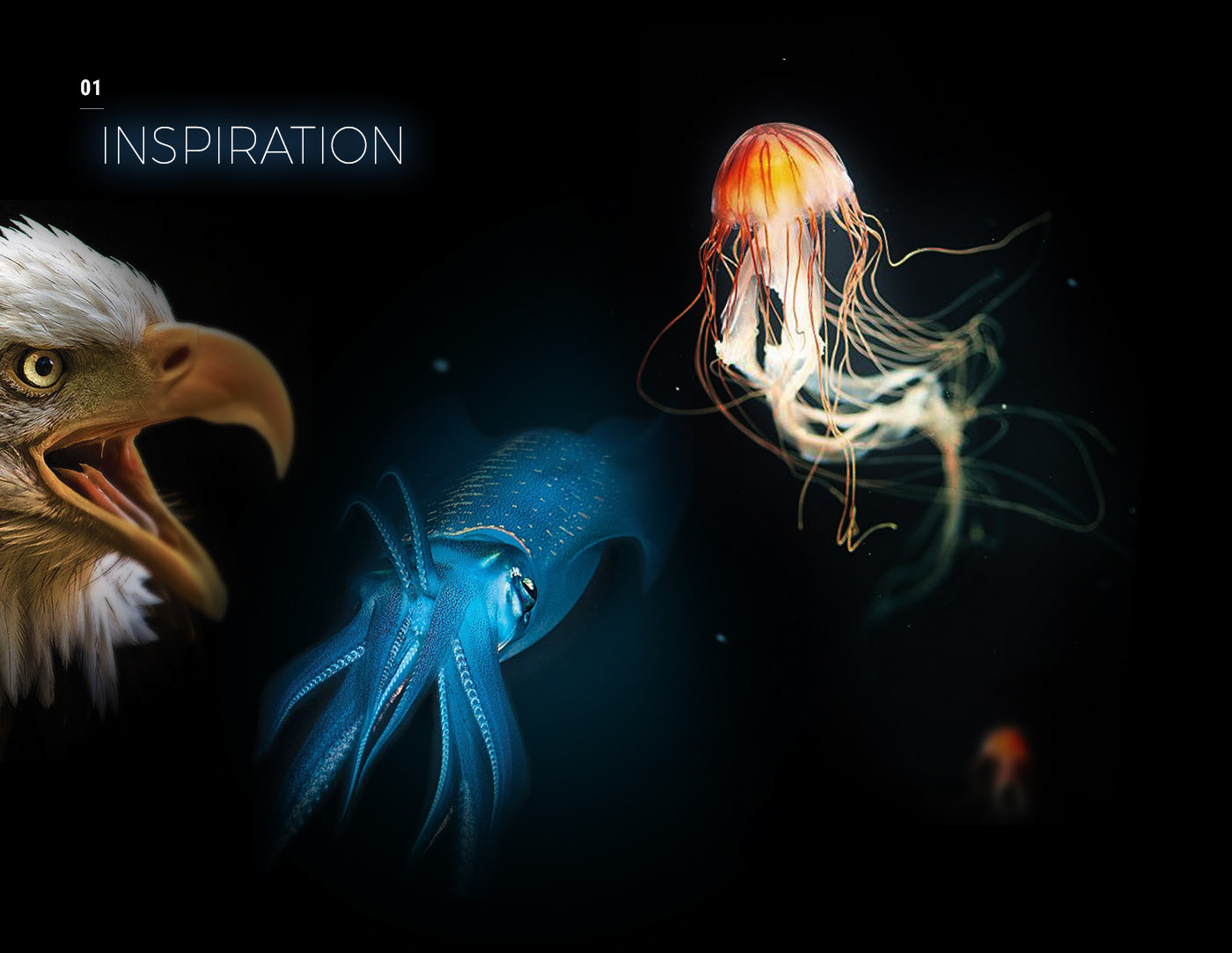 Design，Zkw matrix V45，ZKW Pixel-Lite V39，Headlamp，