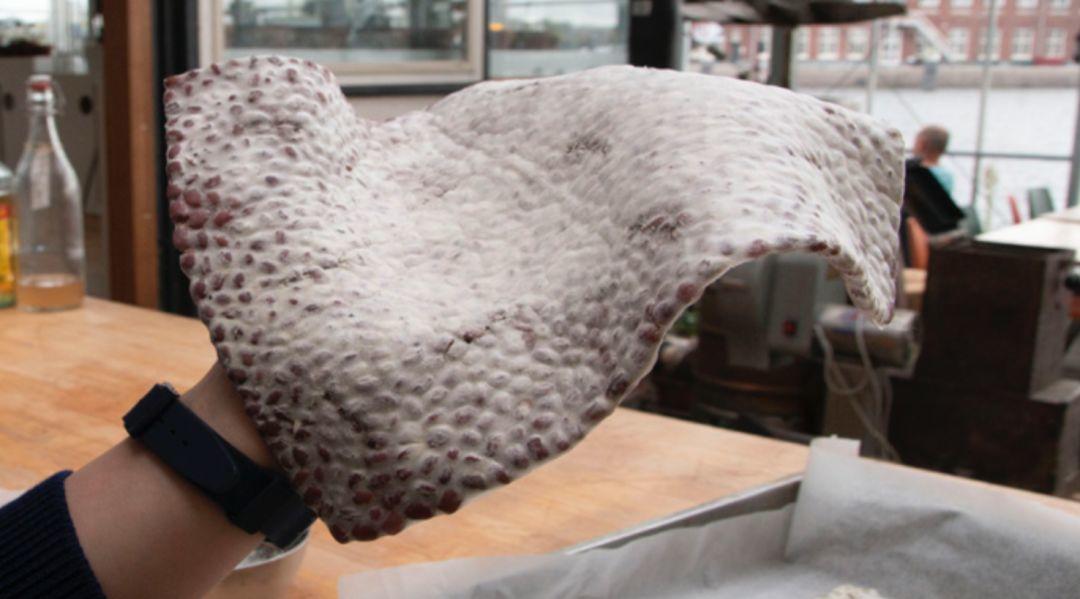 Zhou Jiwei，Tempeh Ware，lactobacillus，Utensils，spin，