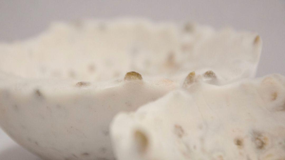 Zhou Jiwei，Tempeh Ware，lactobacillus，Utensils，spin，