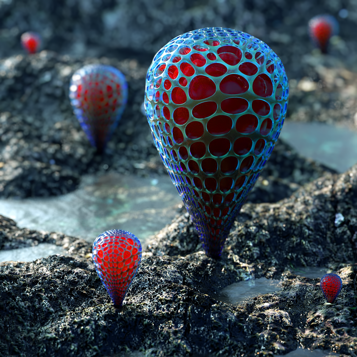 jewelry，Accessories，inspiration，geometry，Jewellery，