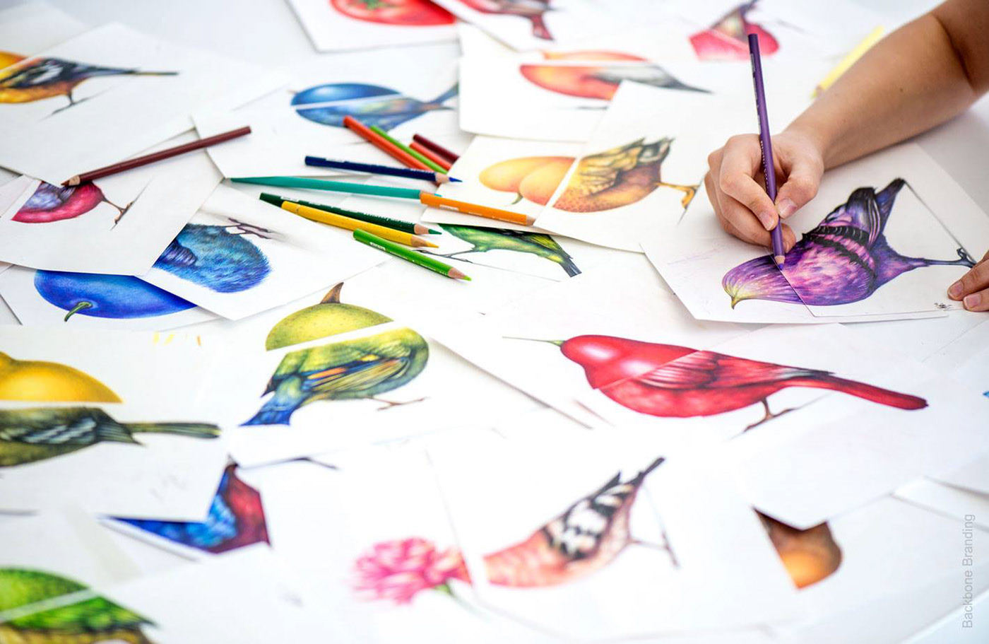 Beak Pick，food，packing design，