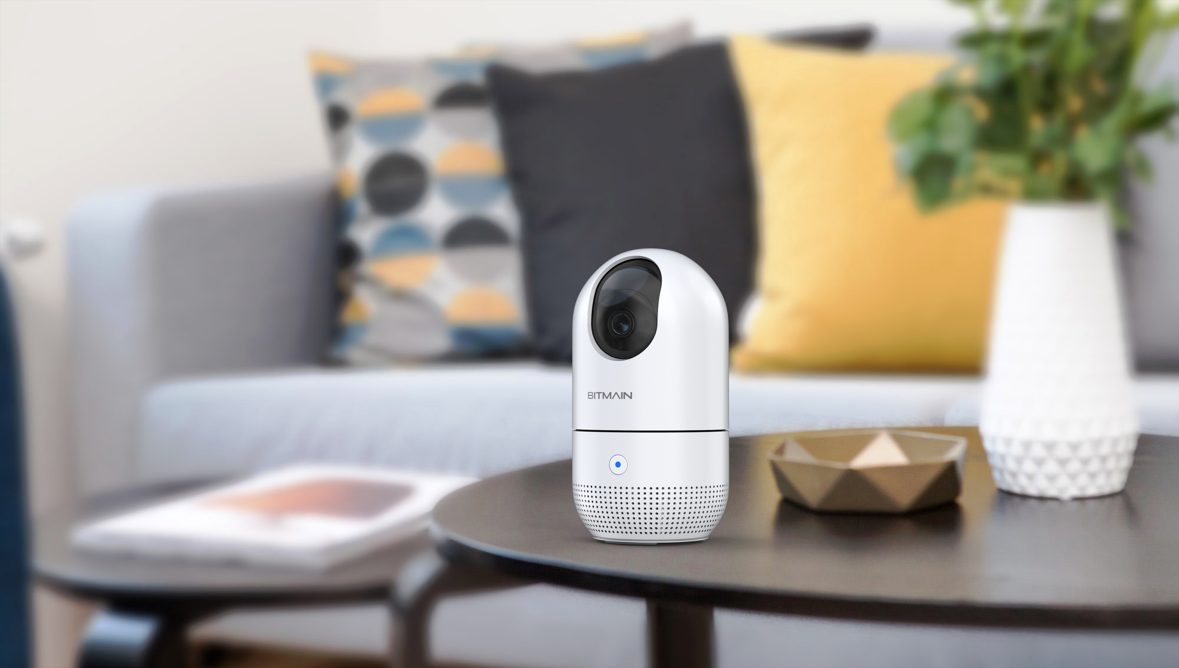 Intelligent Internet of things products，