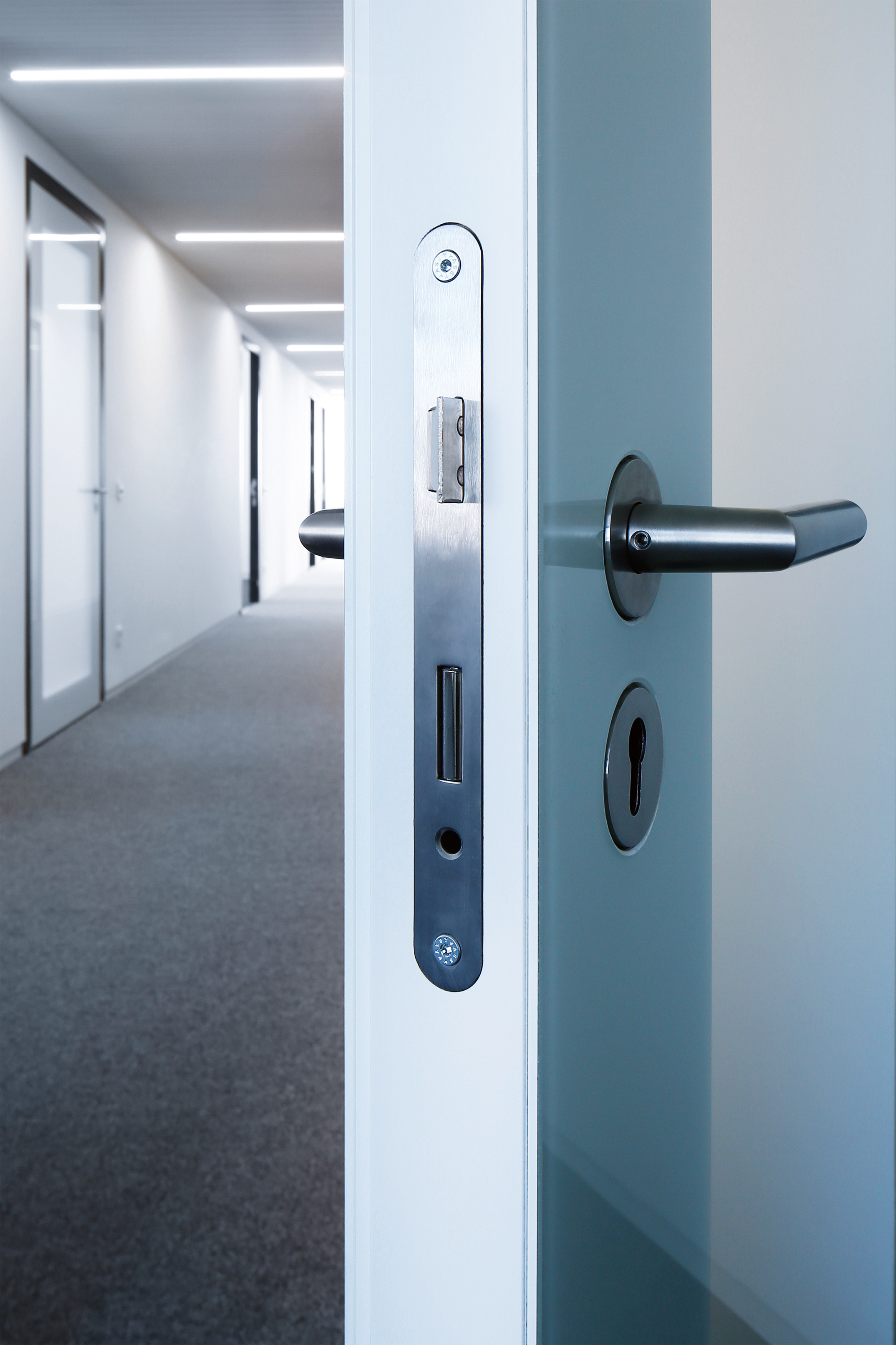 reddot，2019 red dot product design award，planoglas ultra，Interior doors，seamless，