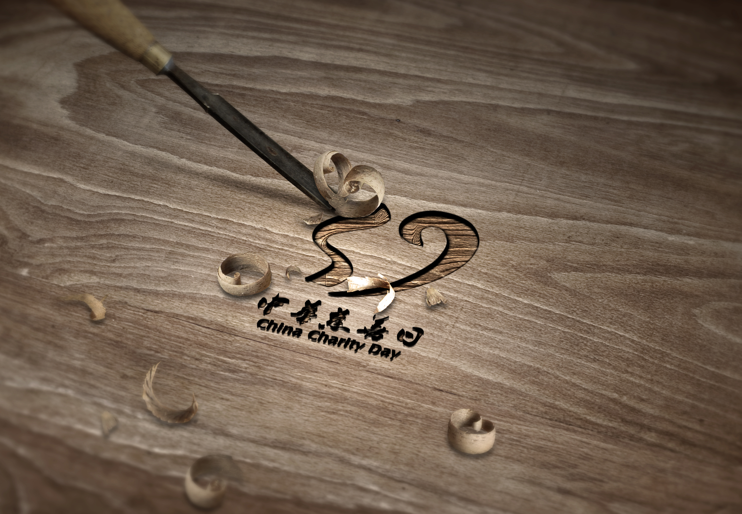 vi，Logo design，Logo design，China Charity Day，