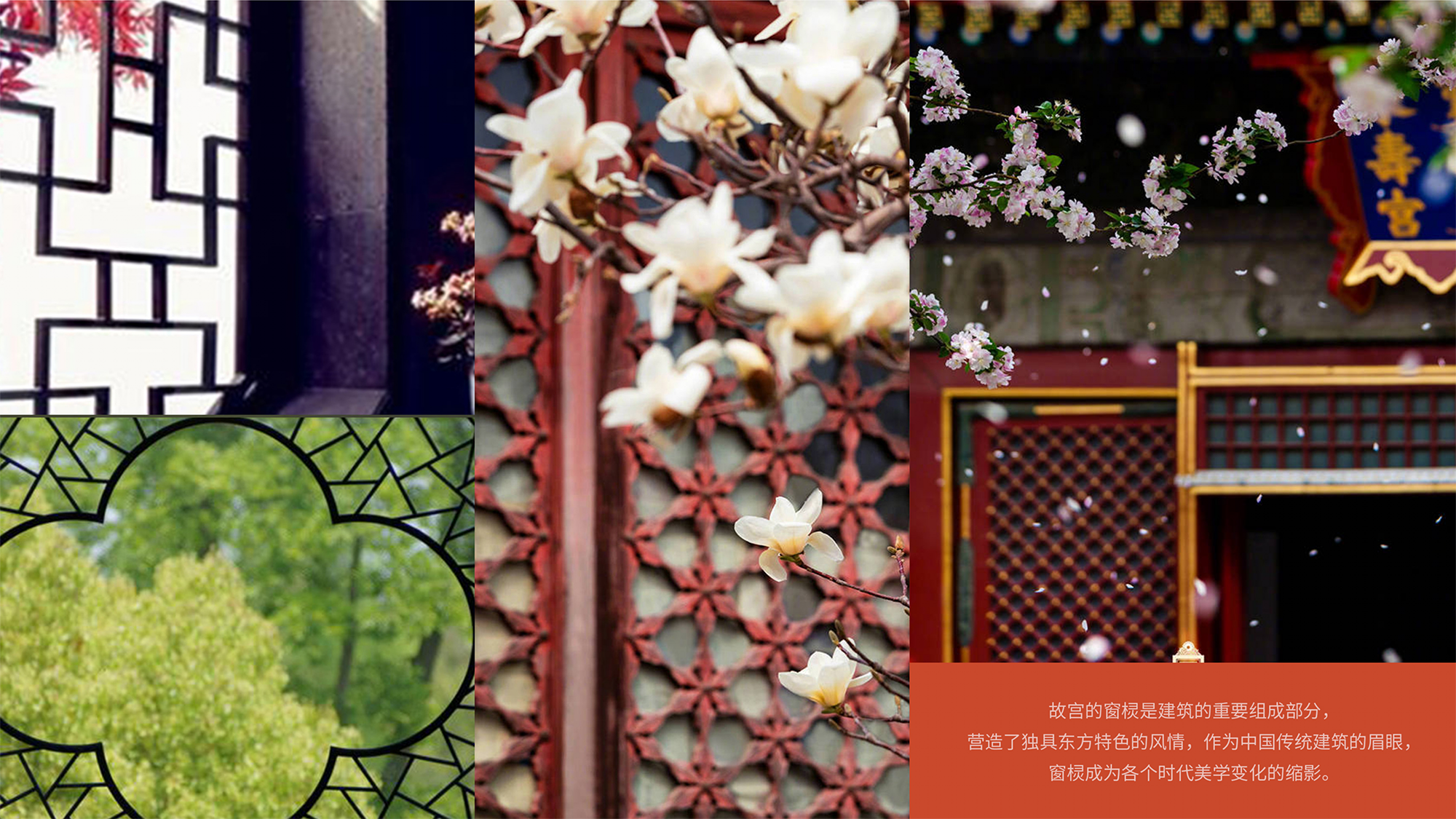 Famous creation Festival，Bronze Award，