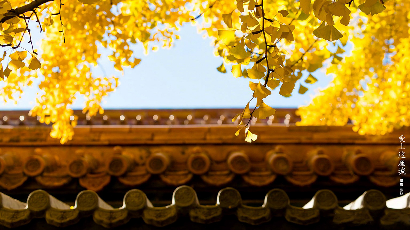 the Imperial Palace，Famous creation Festival，Exhibition of final works，