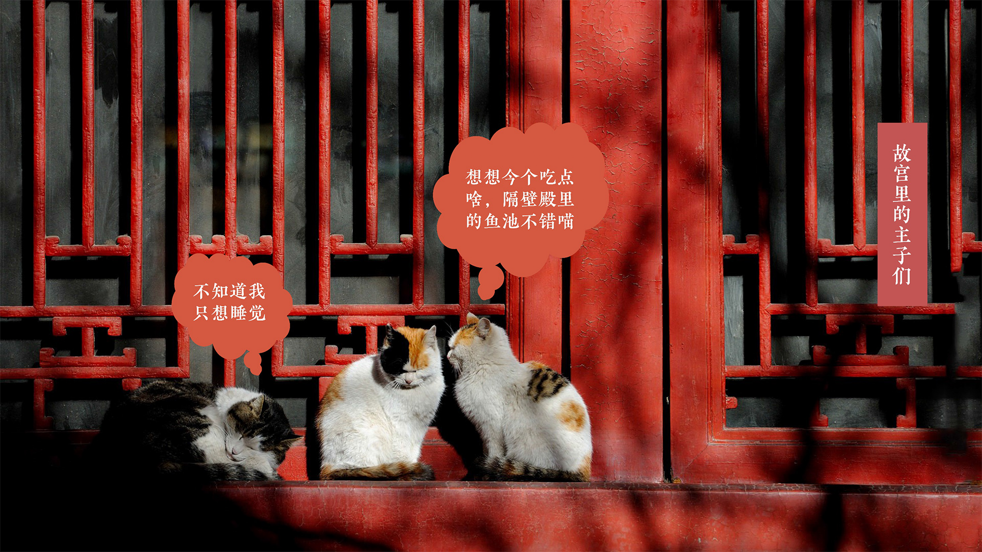 the Imperial Palace，Famous creation Festival，Exhibition of final works，