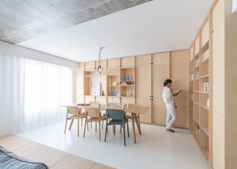 woodiness，Interior design，Sacha Apartments，