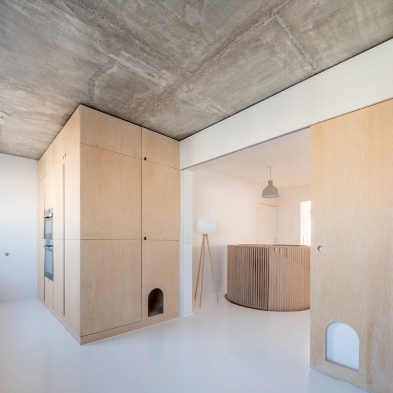 woodiness，Interior design，Sacha Apartments，