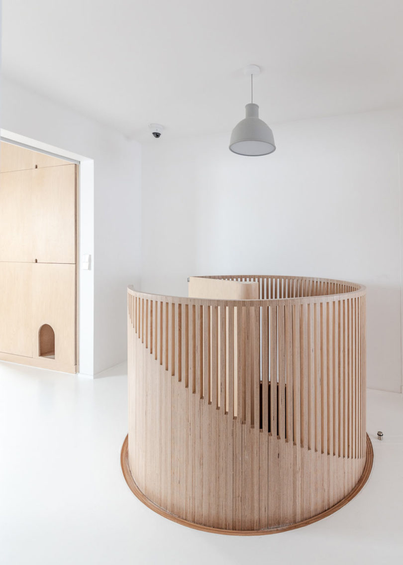 woodiness，Interior design，Sacha Apartments，