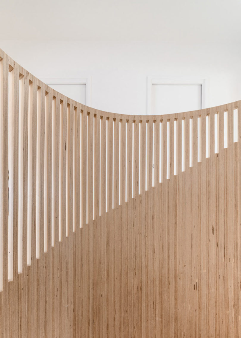 woodiness，Interior design，Sacha Apartments，