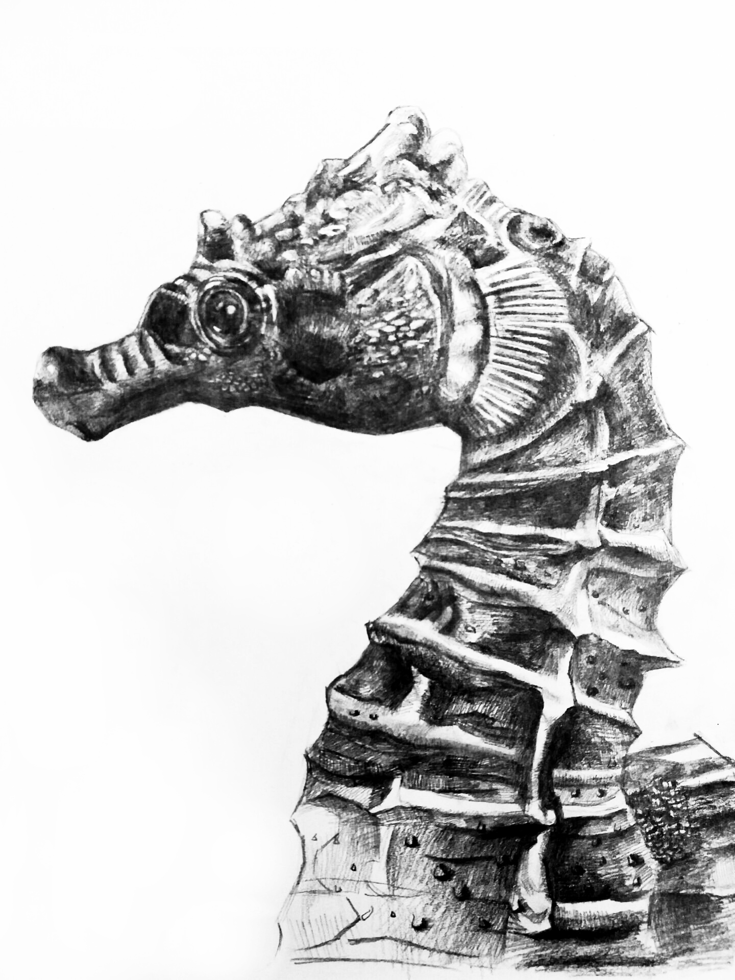 Hand drawn，Sketch，Watercolor，Realistic，