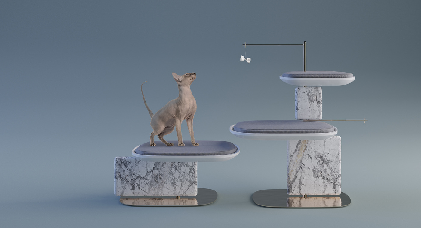 cat，Cat climbing frame，indoor，