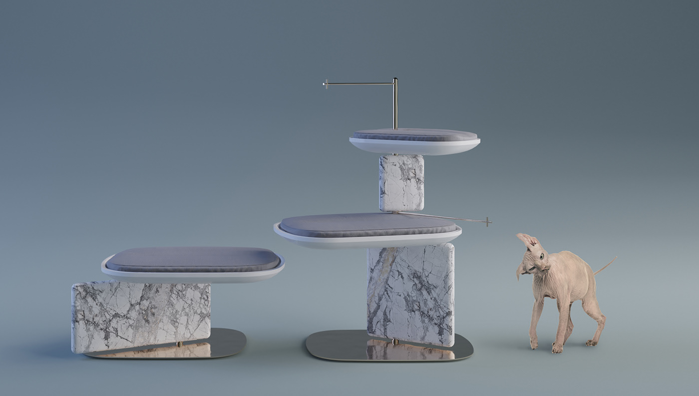 cat，Cat climbing frame，indoor，