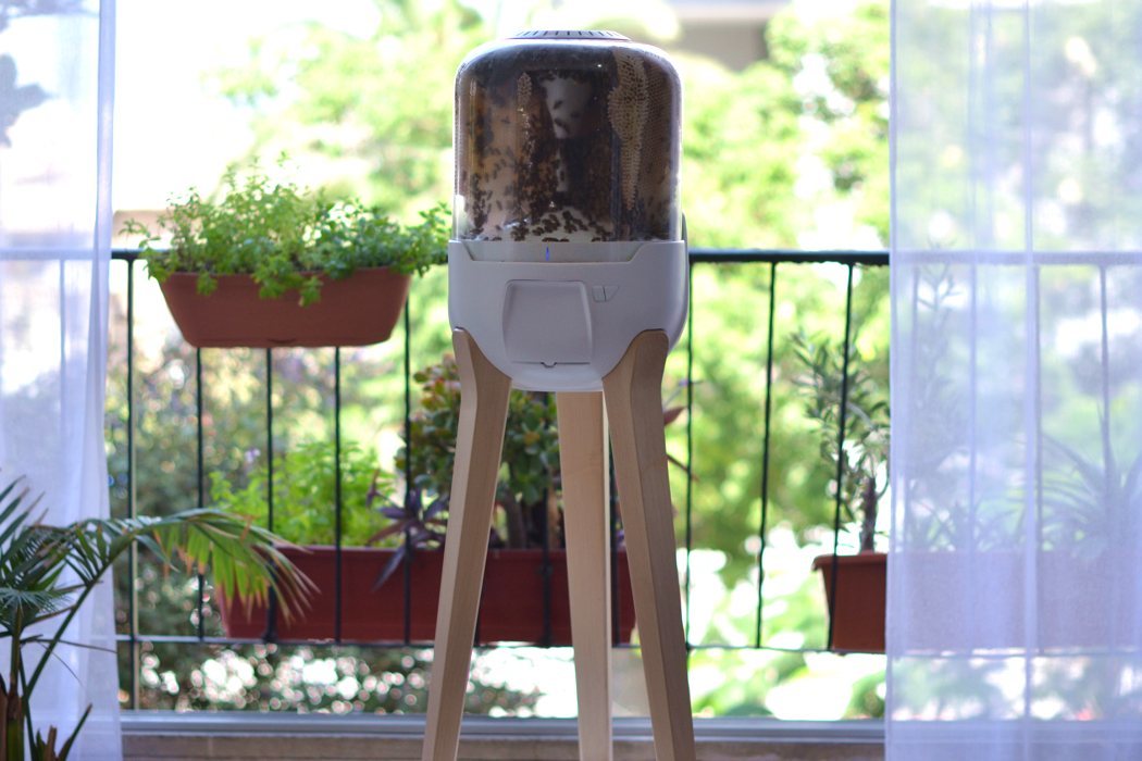 Home，raise，honeybee，Honey，convenient，