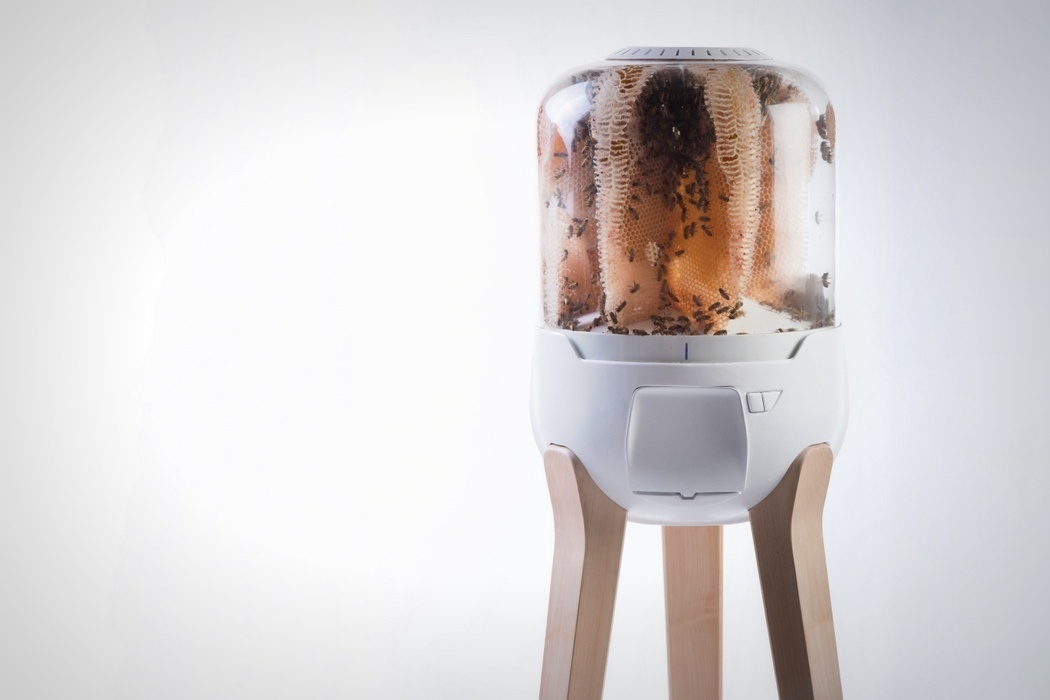 Home，raise，honeybee，Honey，convenient，