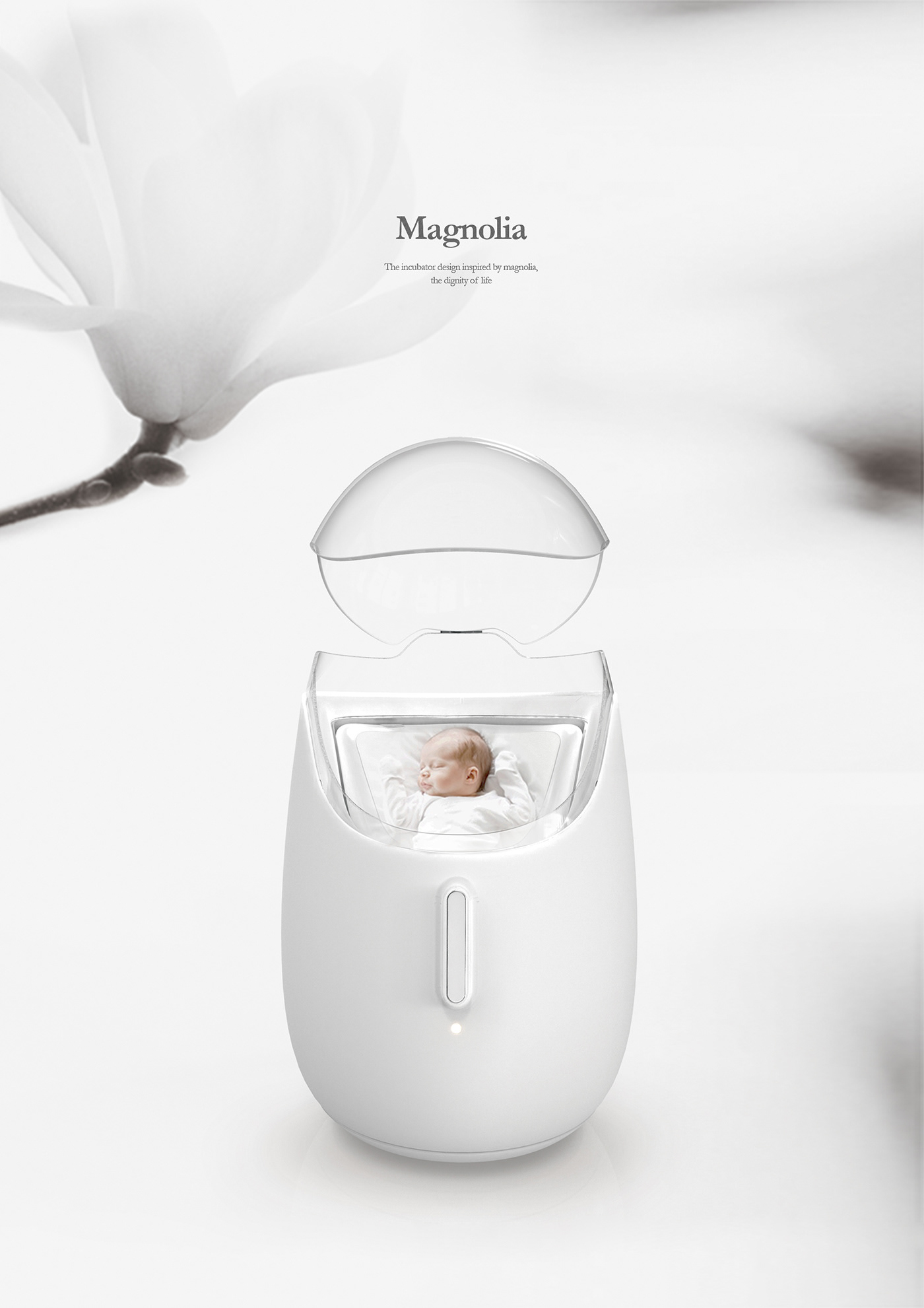 Magnolia，healthy，baby，Incubator，