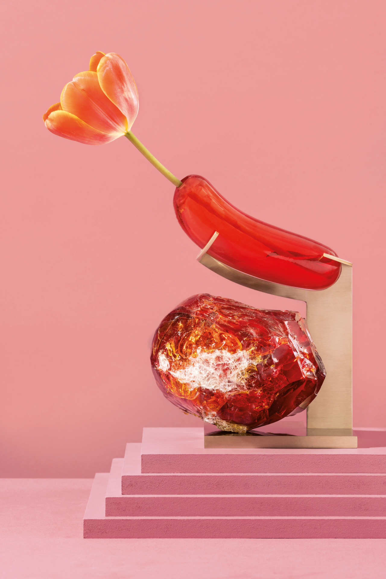 Flower art，capsule，Metamorphosis，