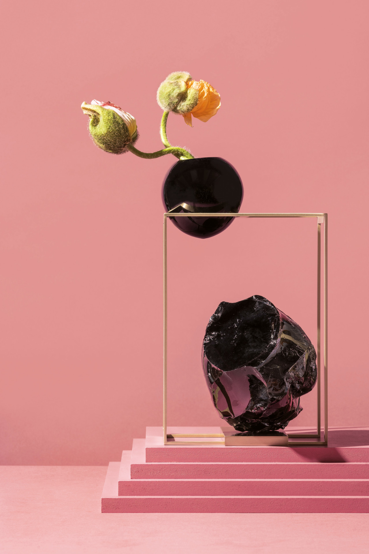 Flower art，capsule，Metamorphosis，