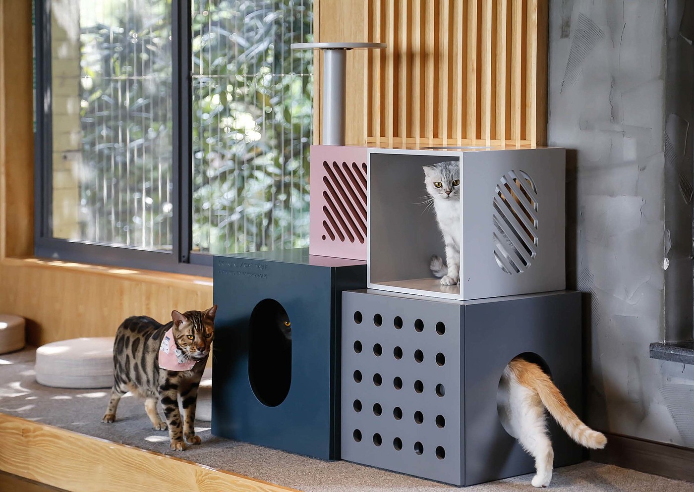cat，Pets，furniture，Cat climbing frame，Cat cabinet，multi-function，