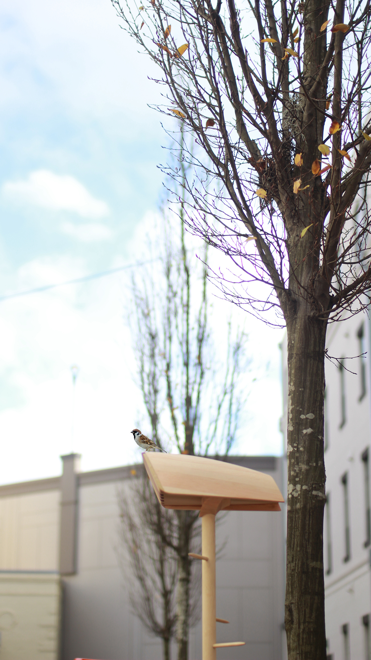 wood，Home Furnishing，Bird house，originality，Simplicity，