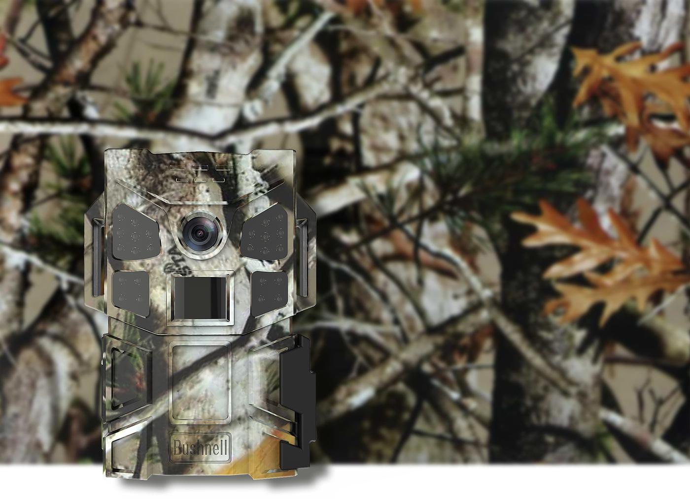 Monitor / Hunter，