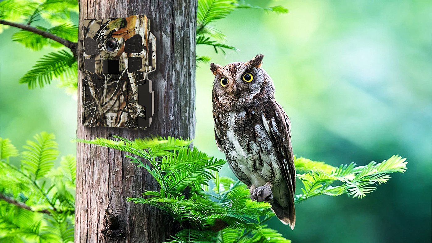 Monitor / Hunter，
