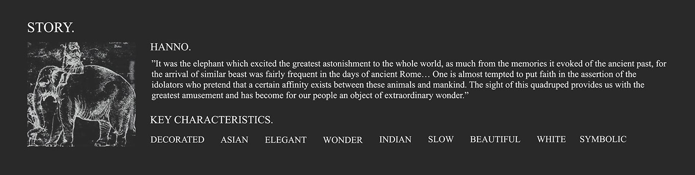 The Hanno Chair，furniture design ，chair，