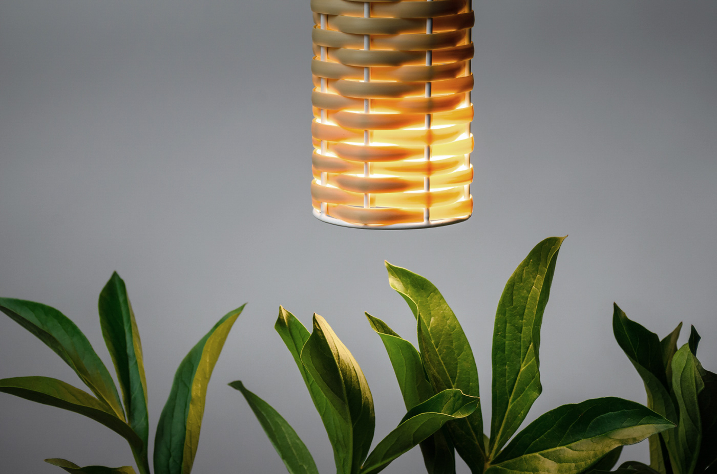 Plastic，Lamp design，LIER SUN，
