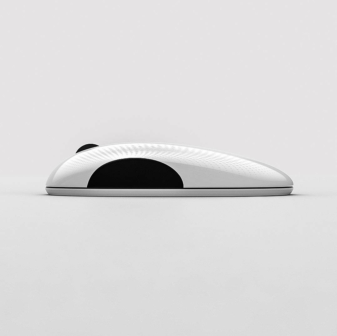 geometry，texture，Pebble.，mouse，