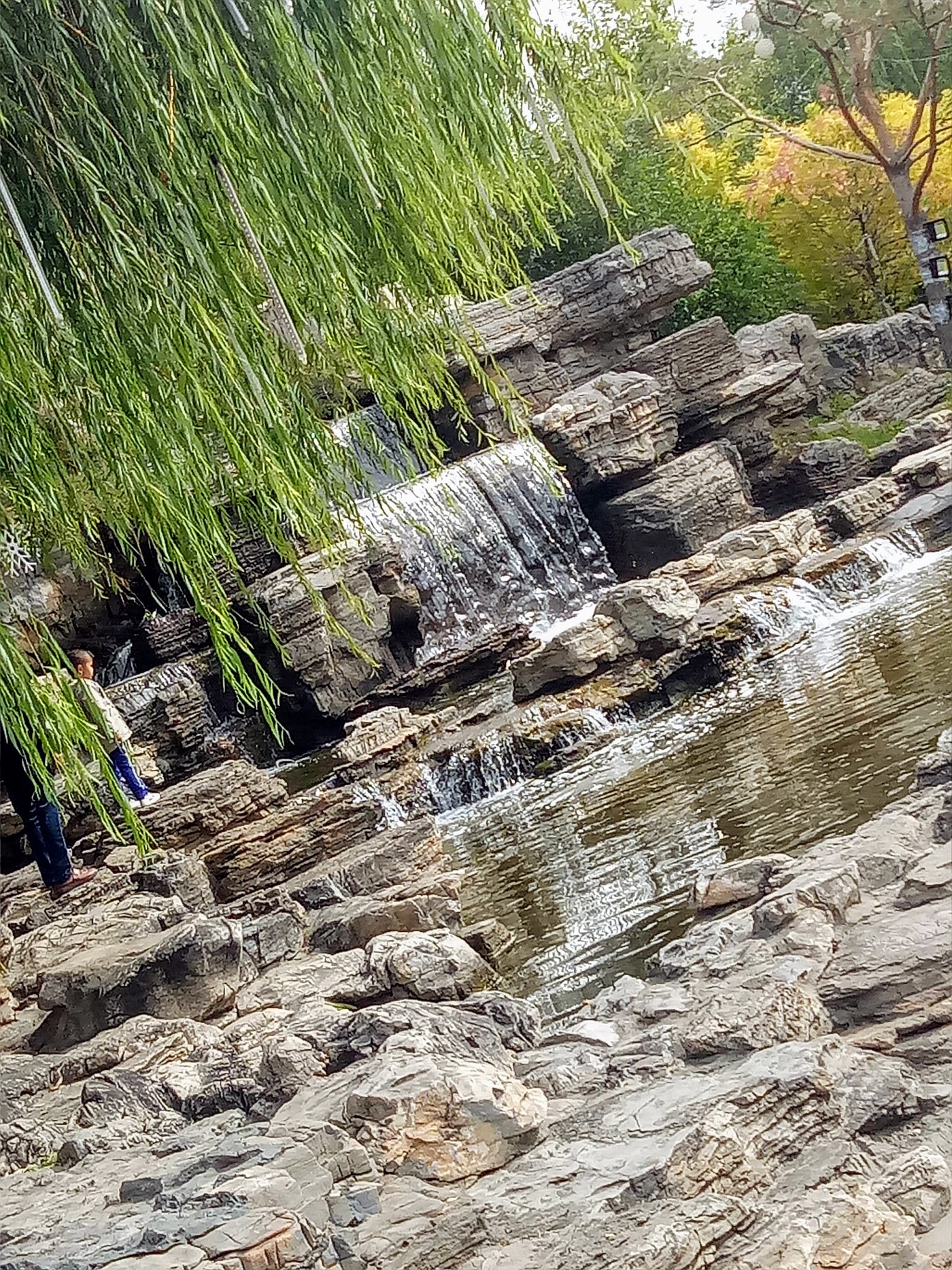 park，