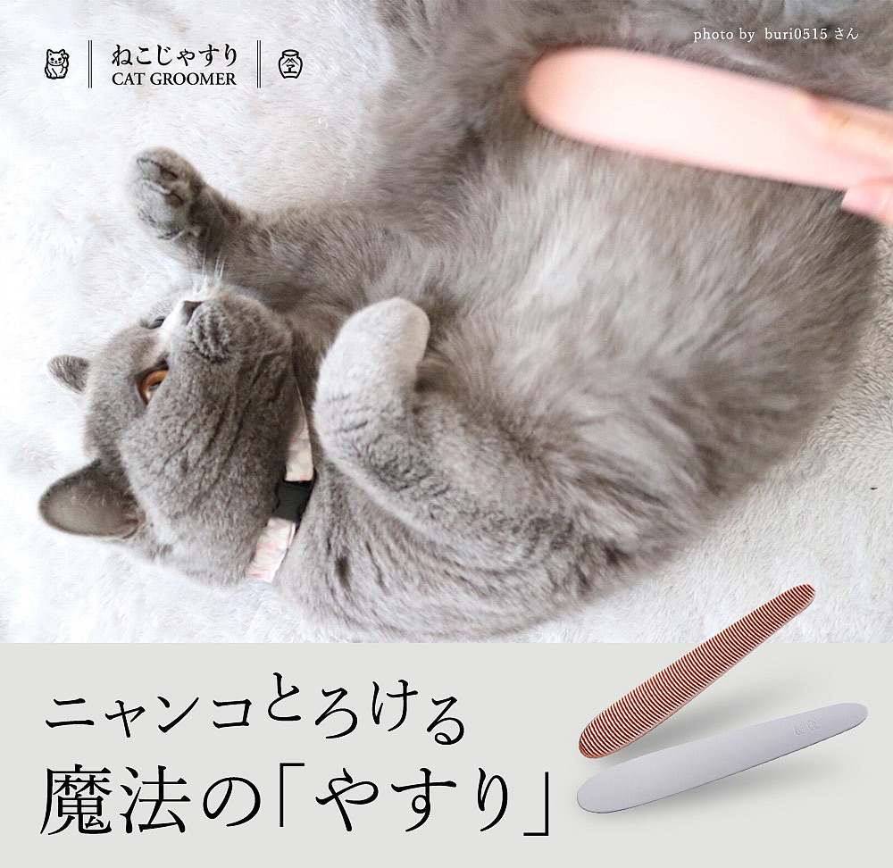 reddot，宠物用品，猫咪梳子，2019红点产品设计大奖，