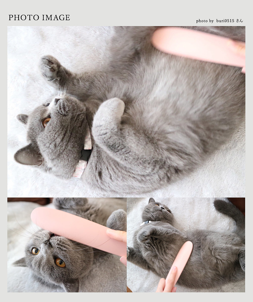 reddot，Pet Supplies & Pet，Cat comb，2019 red dot product design award，