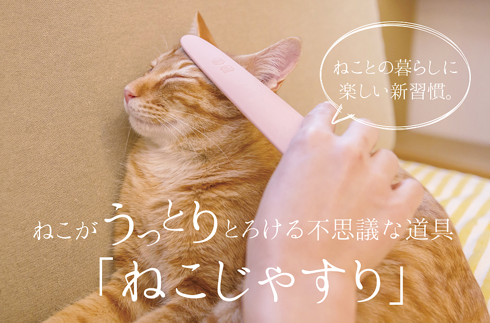 reddot，Pet Supplies & Pet，Cat comb，2019 red dot product design award，