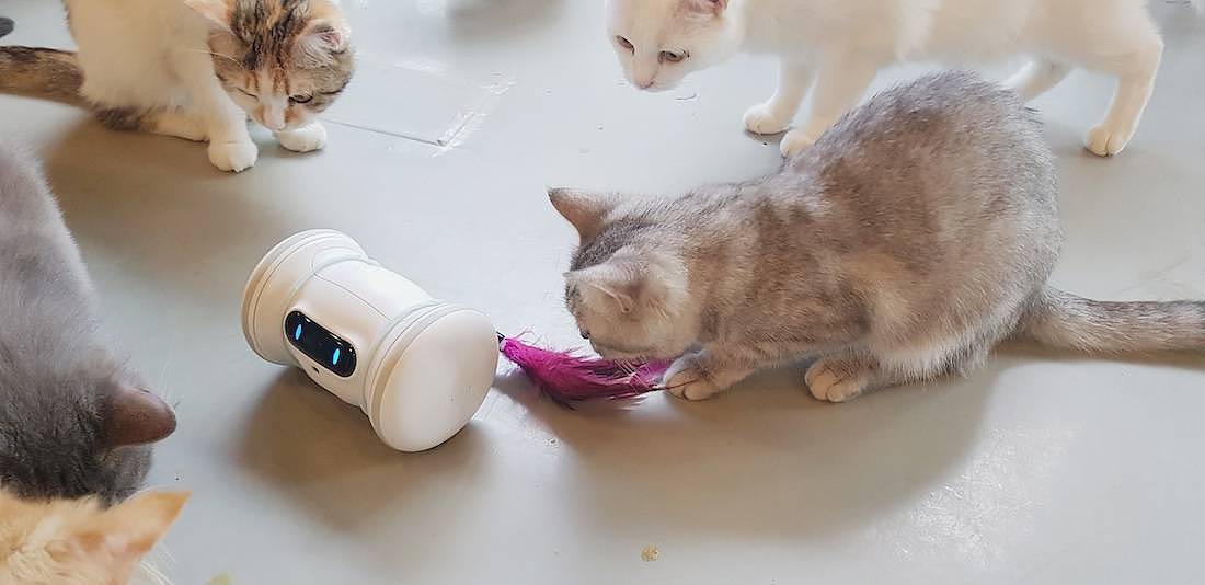reddot，intelligence，Pet Supplies & Pet，VARRAM，2019 red dot product design award，